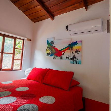 Quebrada Ganado Selva Color - Forest & Beach Ecolodge חדר תמונה