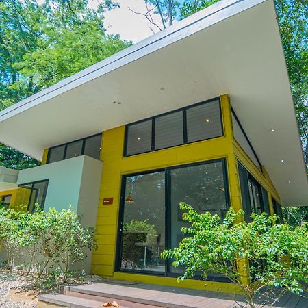 Quebrada Ganado Selva Color - Forest & Beach Ecolodge מראה חיצוני תמונה