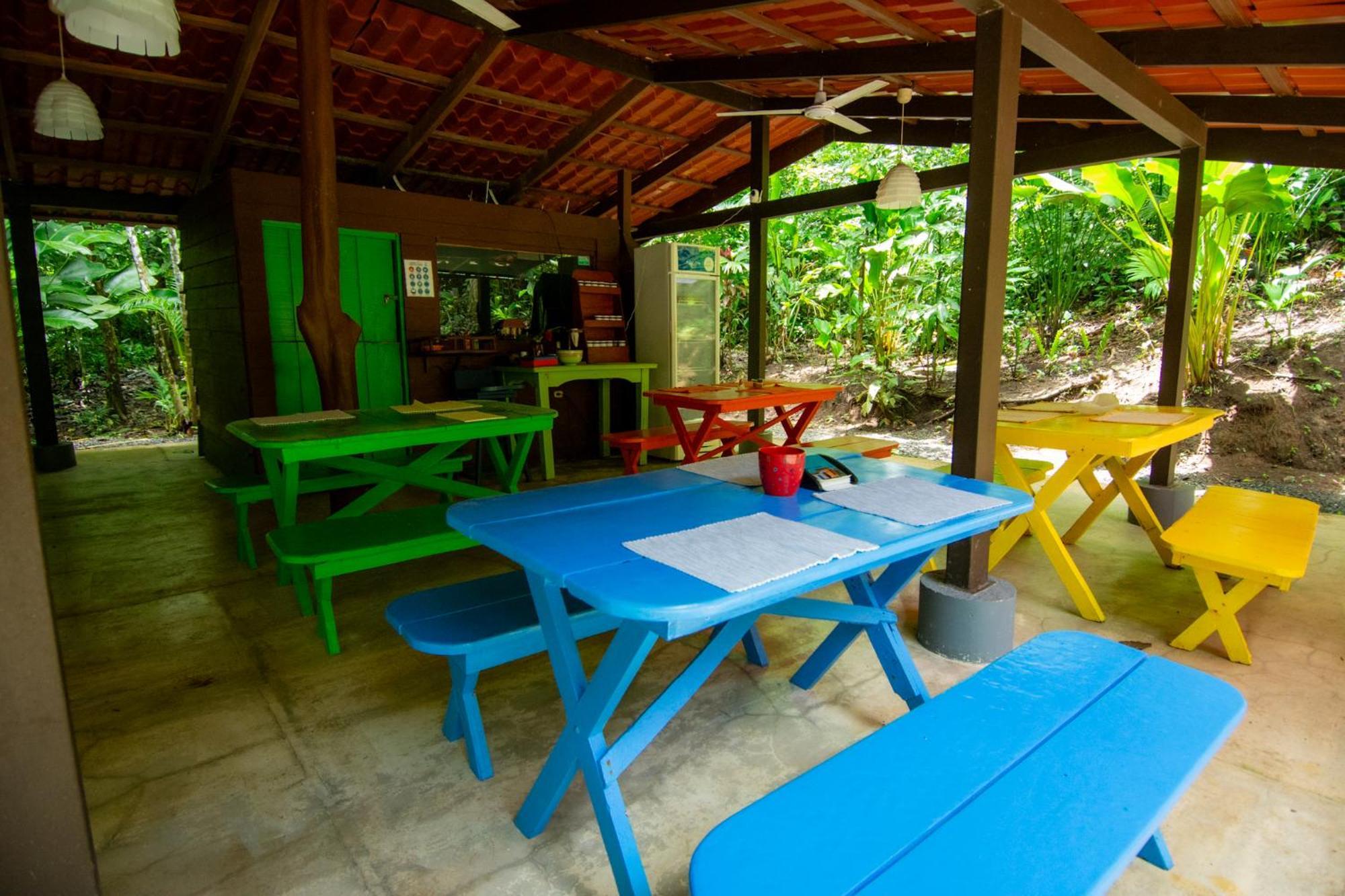 Quebrada Ganado Selva Color - Forest & Beach Ecolodge מראה חיצוני תמונה