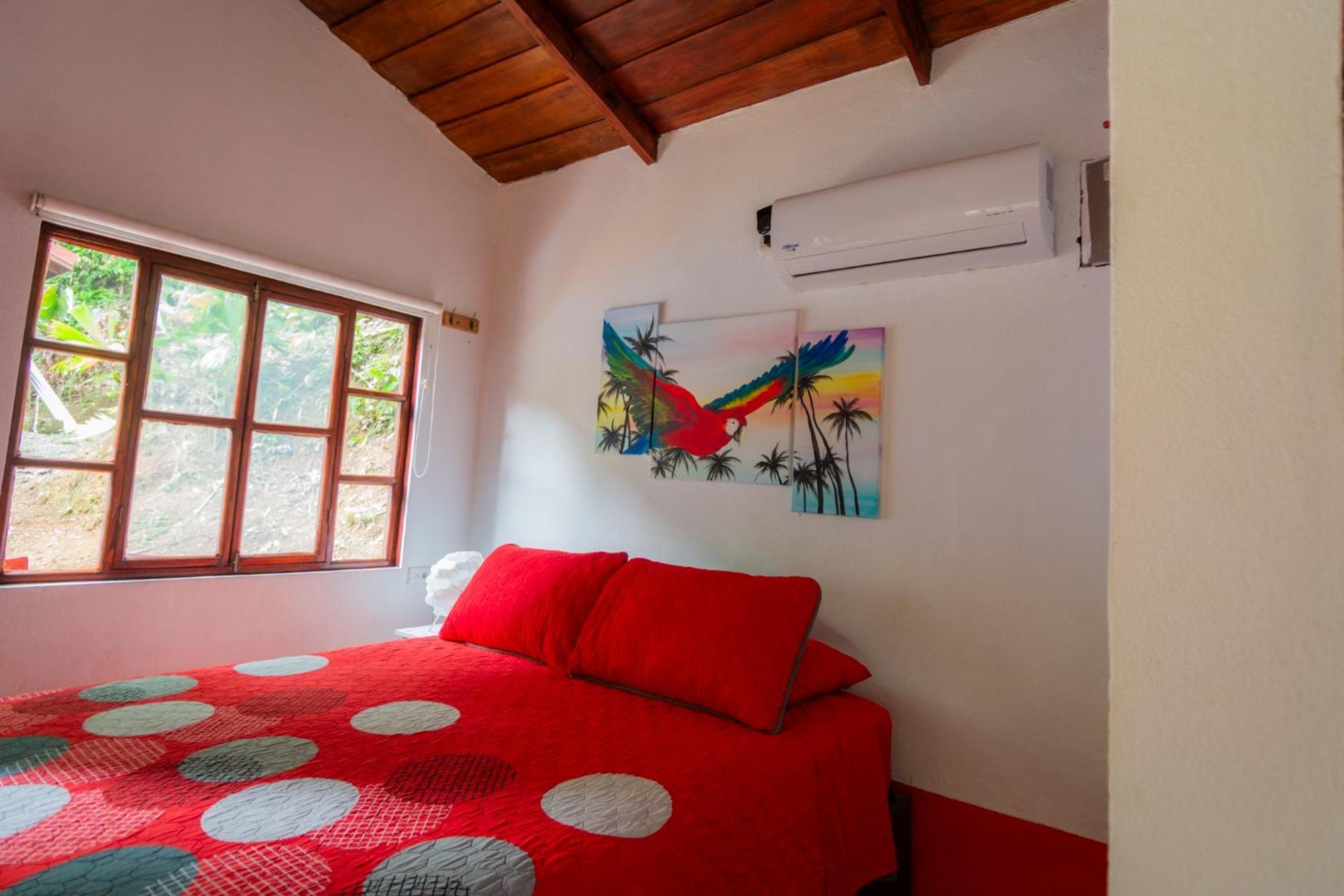 Quebrada Ganado Selva Color - Forest & Beach Ecolodge חדר תמונה