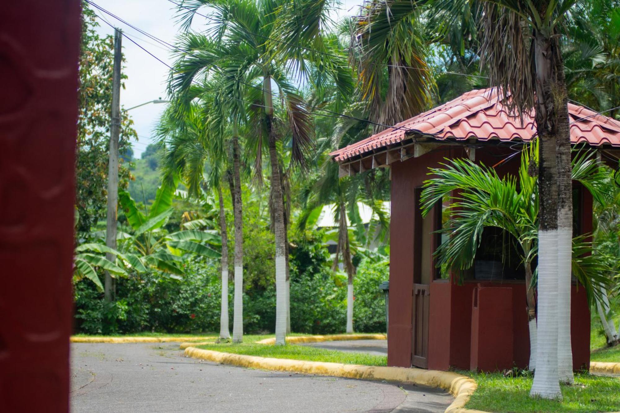 Quebrada Ganado Selva Color - Forest & Beach Ecolodge מראה חיצוני תמונה