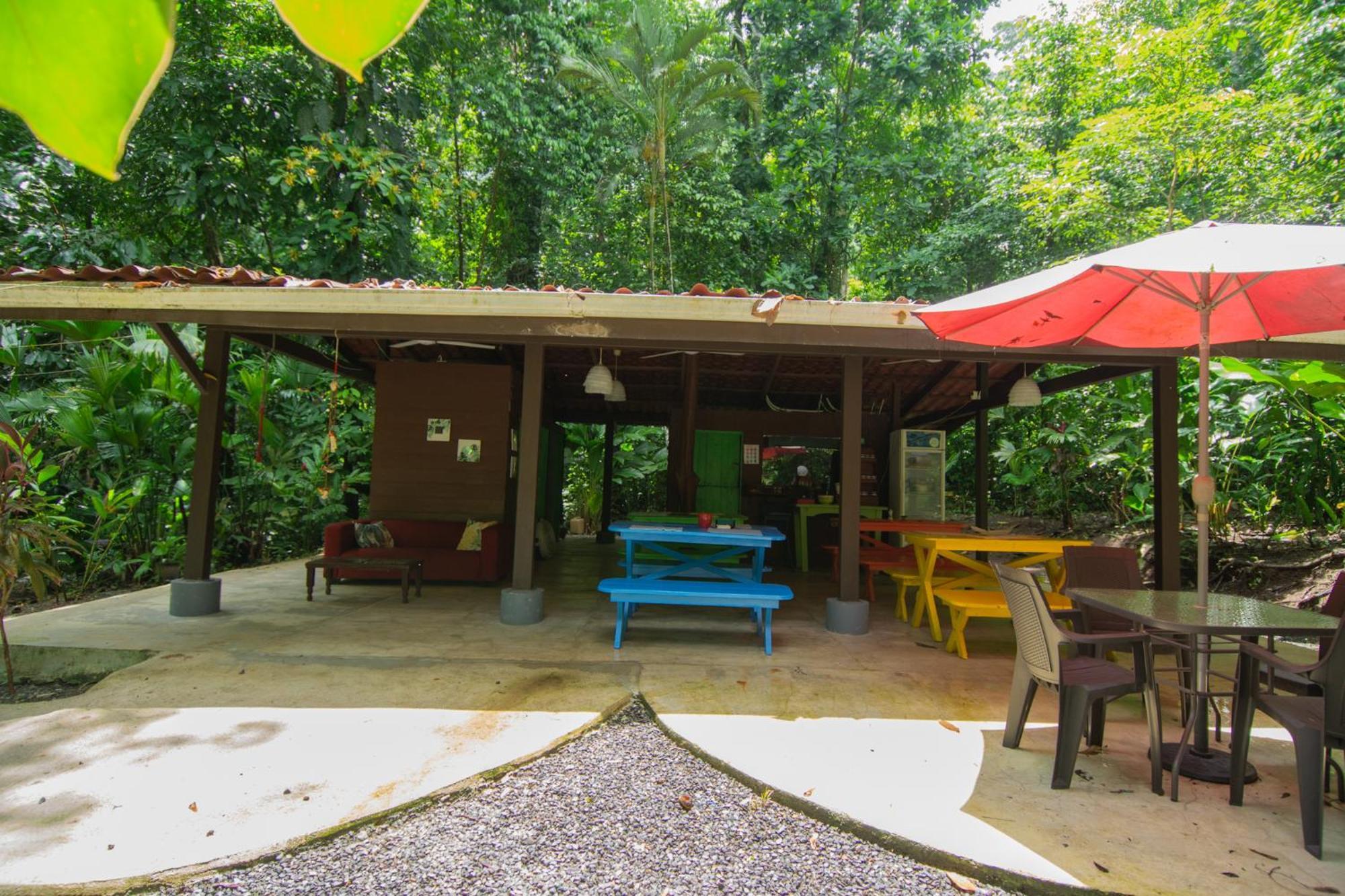 Quebrada Ganado Selva Color - Forest & Beach Ecolodge מראה חיצוני תמונה