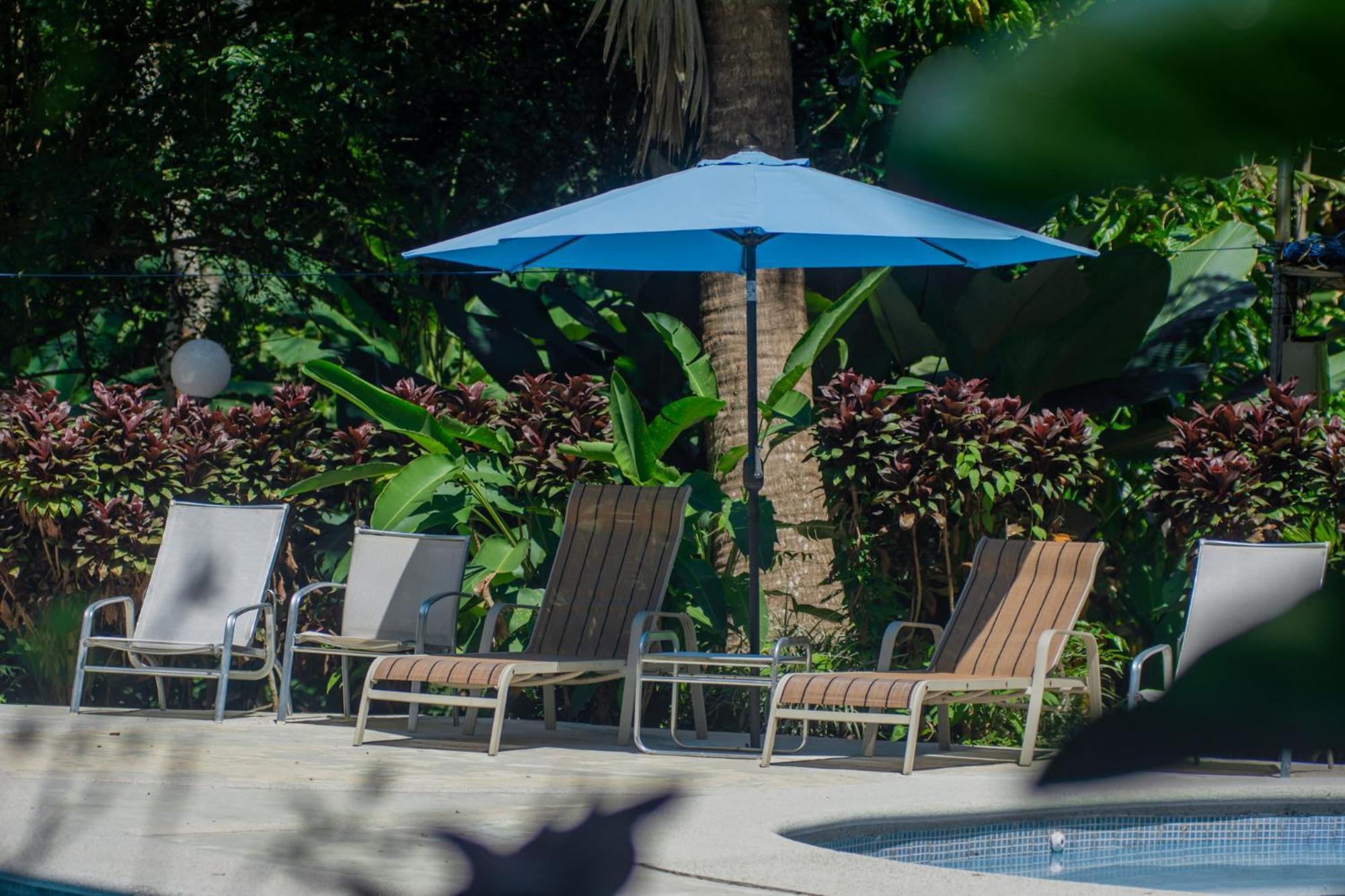 Quebrada Ganado Selva Color - Forest & Beach Ecolodge מראה חיצוני תמונה