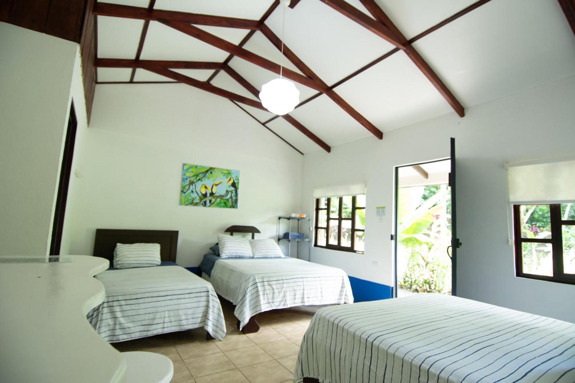 Quebrada Ganado Selva Color - Forest & Beach Ecolodge חדר תמונה