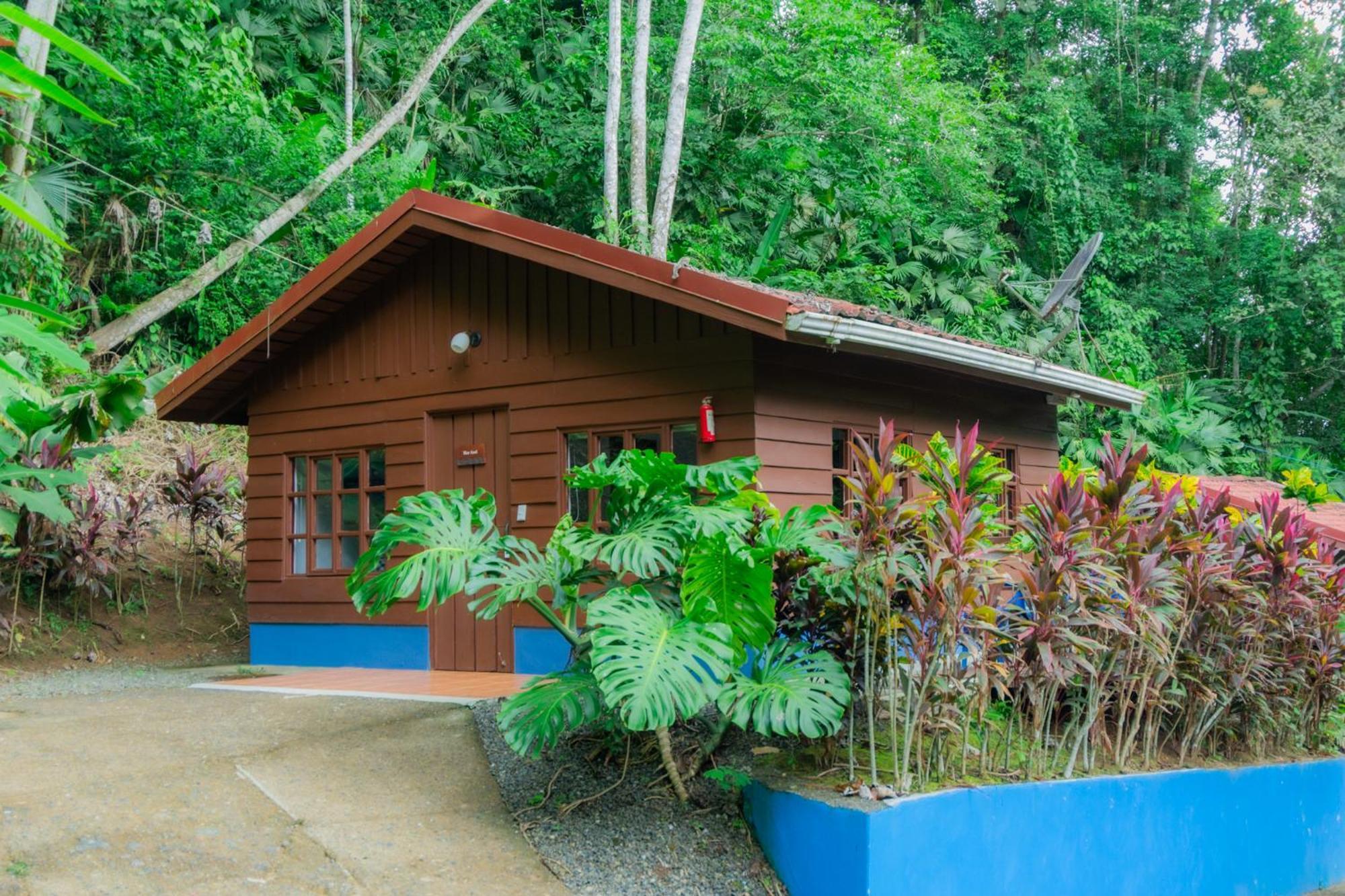 Quebrada Ganado Selva Color - Forest & Beach Ecolodge מראה חיצוני תמונה