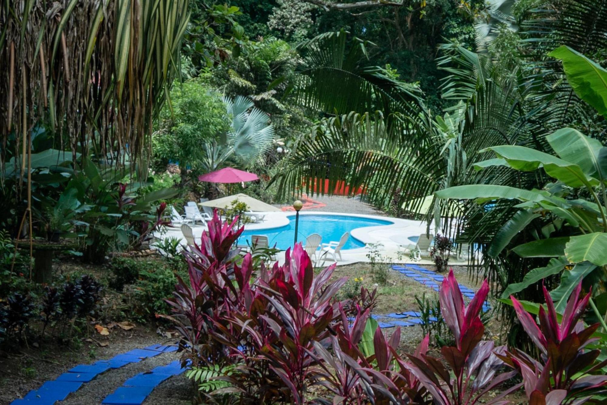 Quebrada Ganado Selva Color - Forest & Beach Ecolodge מראה חיצוני תמונה