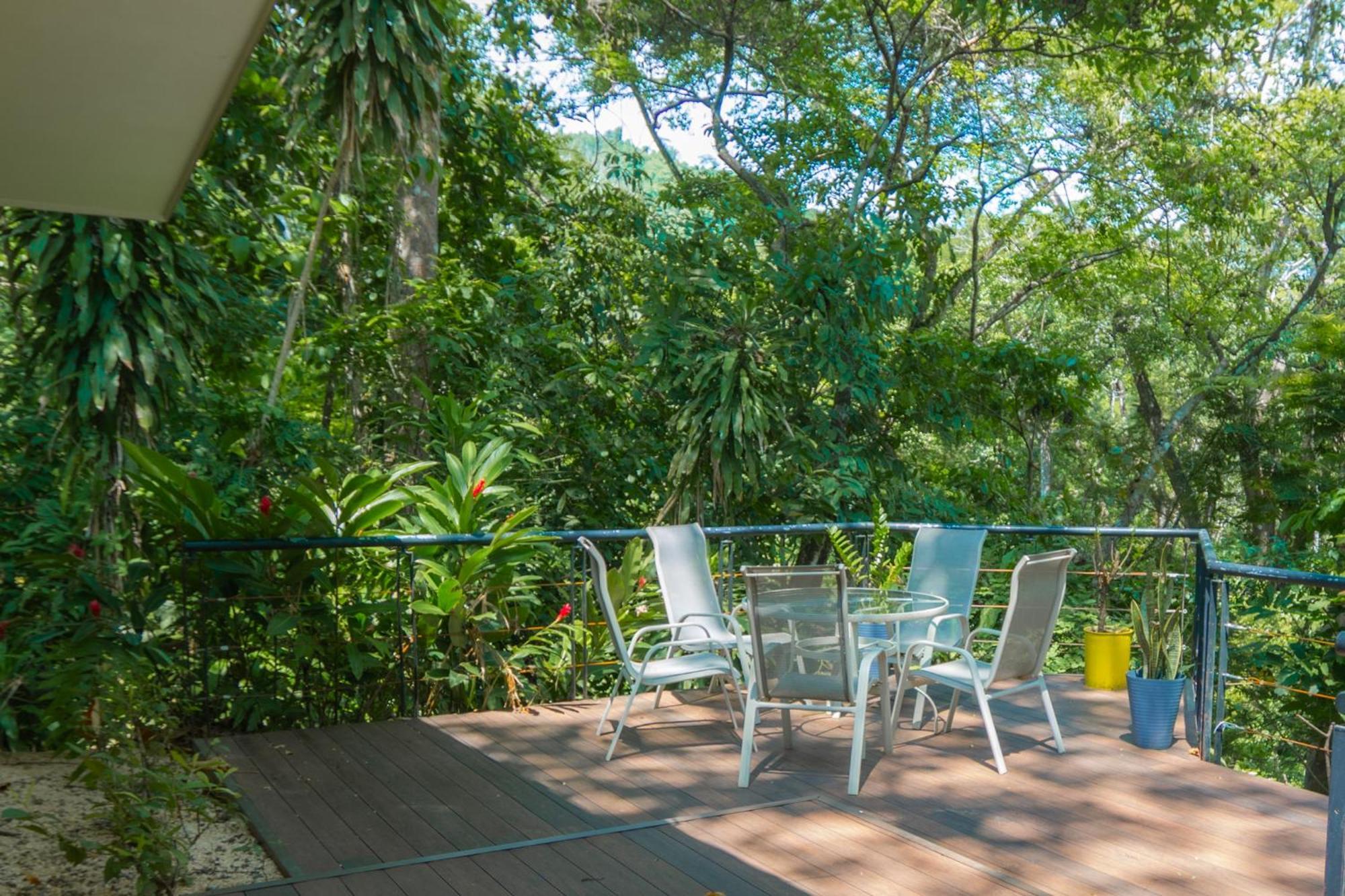 Quebrada Ganado Selva Color - Forest & Beach Ecolodge חדר תמונה