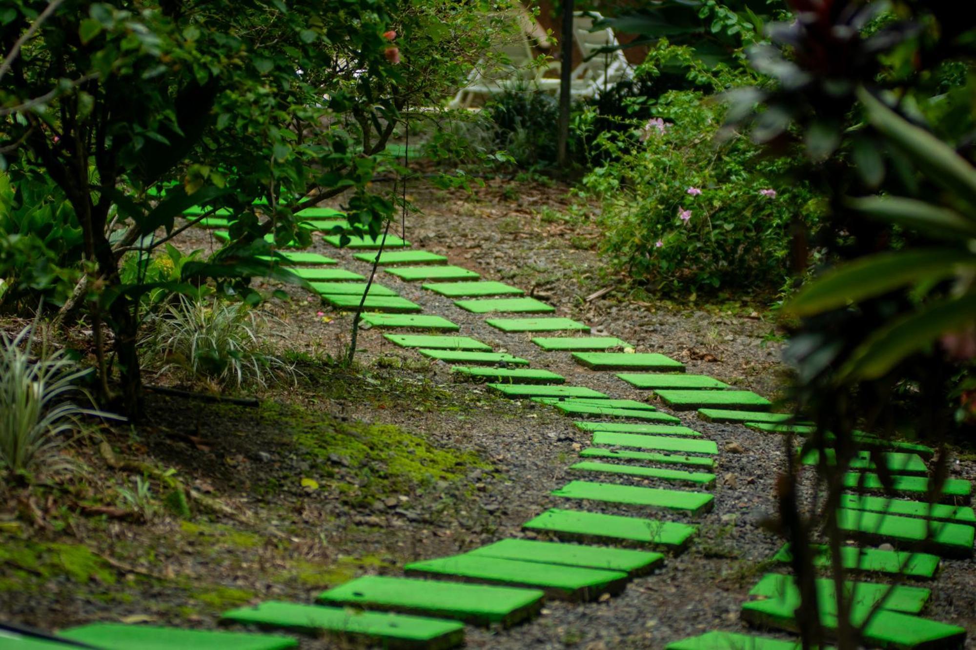 Quebrada Ganado Selva Color - Forest & Beach Ecolodge מראה חיצוני תמונה
