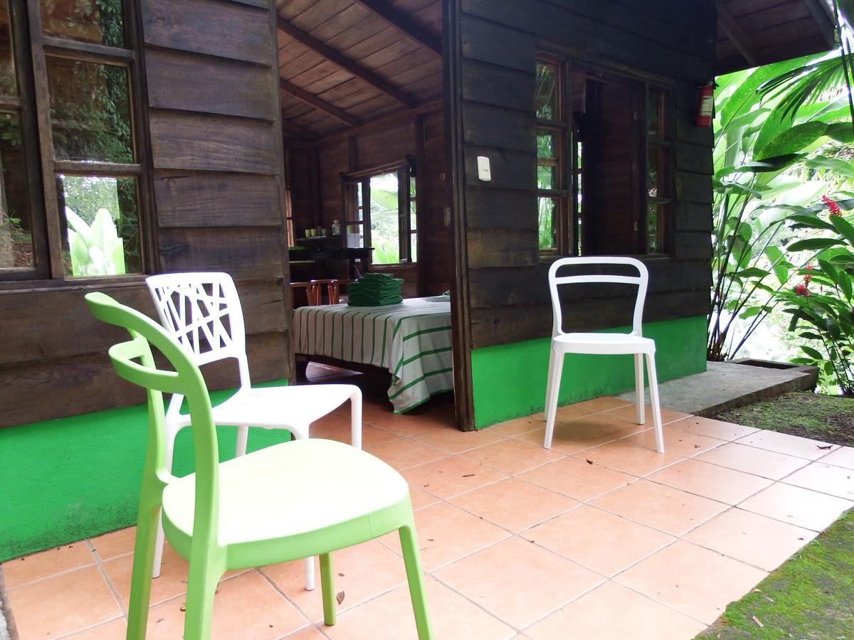 Quebrada Ganado Selva Color - Forest & Beach Ecolodge מראה חיצוני תמונה