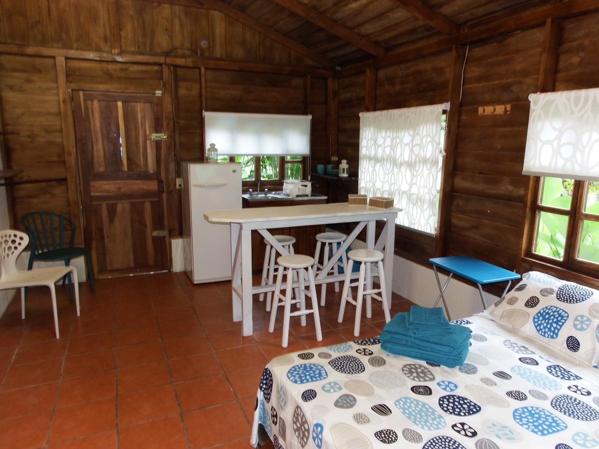 Quebrada Ganado Selva Color - Forest & Beach Ecolodge מראה חיצוני תמונה