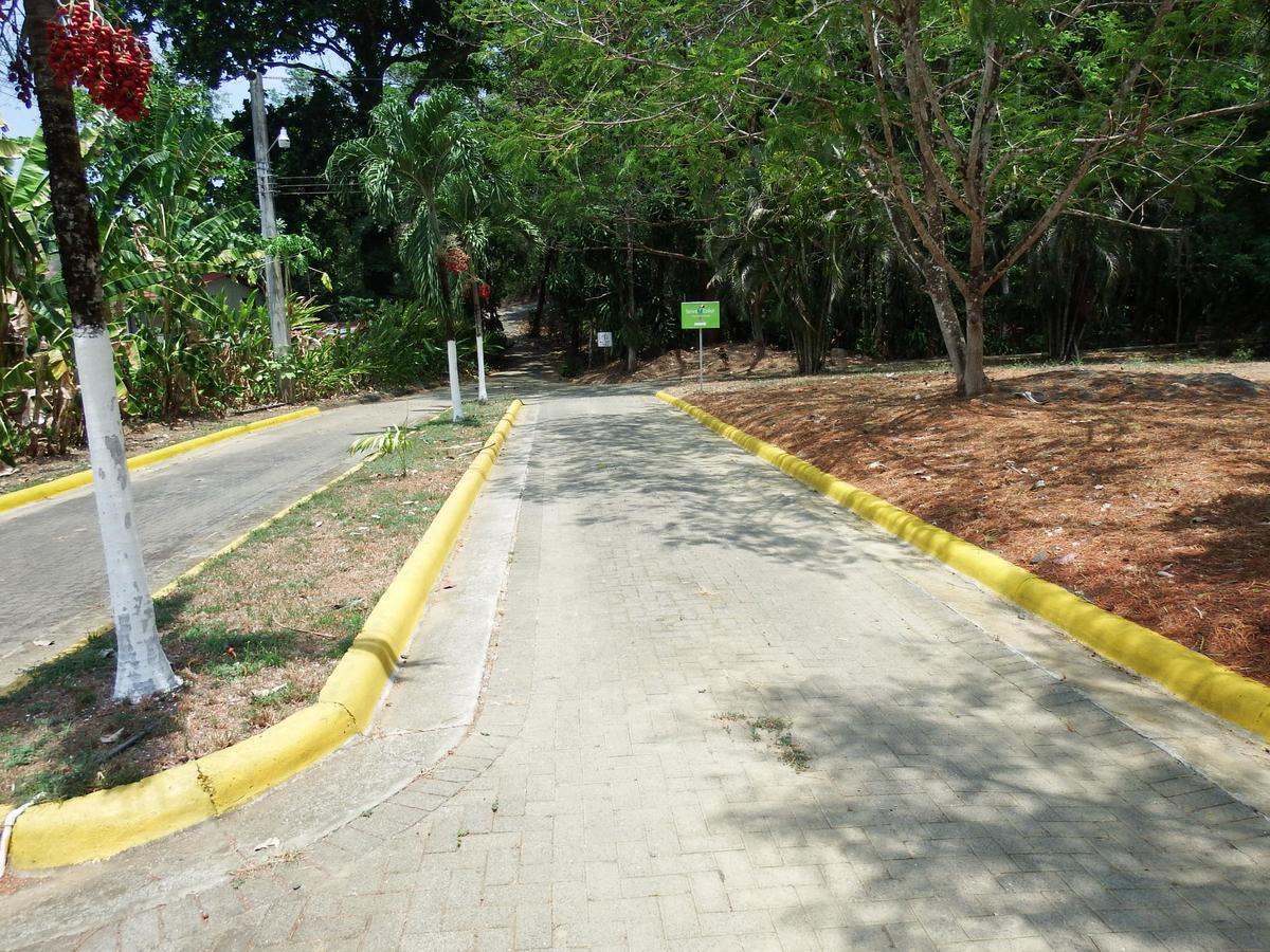 Quebrada Ganado Selva Color - Forest & Beach Ecolodge מראה חיצוני תמונה